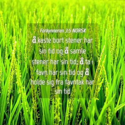 Picture 04 - Forkynneren 3:5 NORSK - å kaste bort stener har sin tid og å samle - Bible Verse Picture