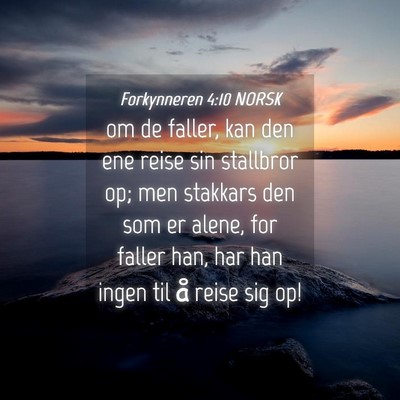 Picture 04 - Forkynneren 4:10 NORSK - om de faller, kan den ene reise sin stallbror op; - Bible Verse Picture