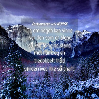 Picture 04 - Forkynneren 4:12 NORSK - Og om nogen kan vinne over den som er alene, så - Bible Verse Picture
