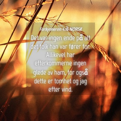 Picture 04 - Forkynneren 4:16 NORSK - Det var ingen ende på alt det folk han var - Bible Verse Picture