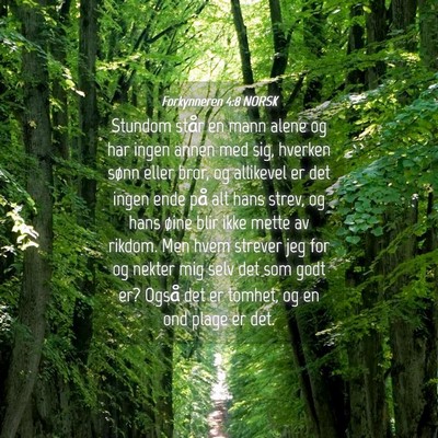 Picture 04 - Forkynneren 4:8 NORSK - Stundom står en mann alene og har ingen annen - Bible Verse Picture