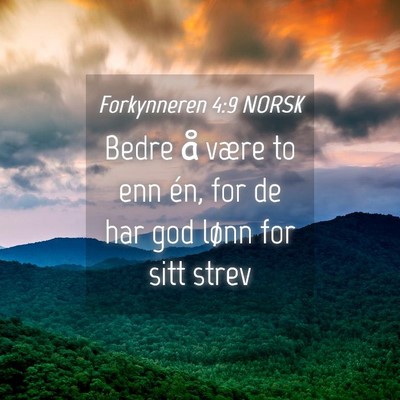 Picture 04 - Forkynneren 4:9 NORSK - Bedre å være to enn én, for de har god lønn - Bible Verse Picture