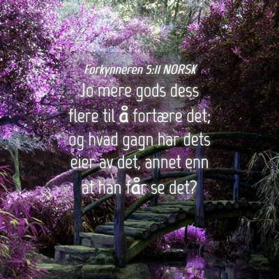 Picture 04 - Forkynneren 5:11 NORSK - Jo mere gods dess flere til å fortære det; og - Bible Verse Picture