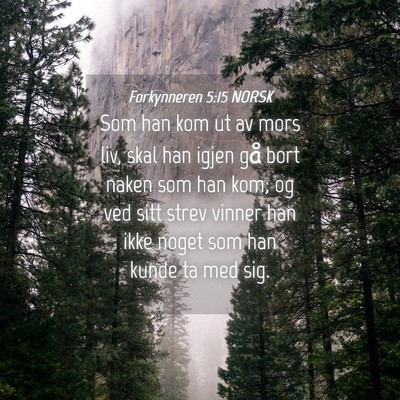 Picture 04 - Forkynneren 5:15 NORSK - Som han kom ut av mors liv, skal han igjen gå - Bible Verse Picture
