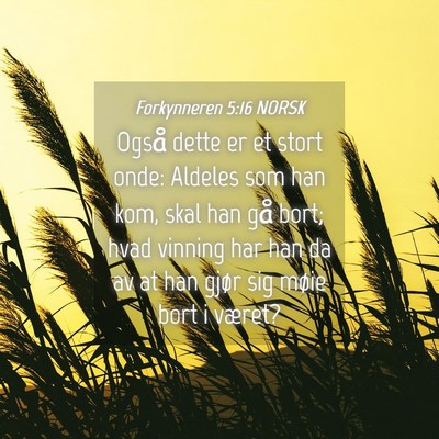 Picture 04 - Forkynneren 5:16 NORSK - Også dette er et stort onde: Aldeles som han - Bible Verse Picture