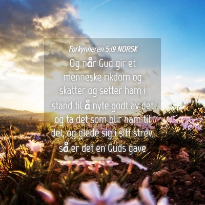 Picture 04 - Forkynneren 5:19 NORSK - Og når Gud gir et menneske rikdom og skatter og - Bible Verse Picture