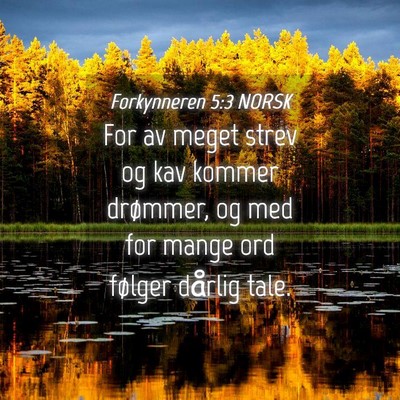 Picture 04 - Forkynneren 5:3 NORSK - For av meget strev og kav kommer drømmer, og med - Bible Verse Picture