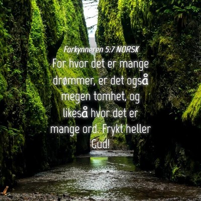 Picture 04 - Forkynneren 5:7 NORSK - For hvor det er mange drømmer, er det også - Bible Verse Picture
