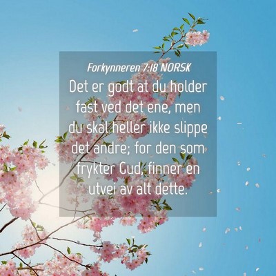 Picture 04 - Forkynneren 7:18 NORSK - Det er godt at du holder fast ved det ene, men du - Bible Verse Picture