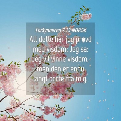 Picture 04 - Forkynneren 7:23 NORSK - Alt dette har jeg prøvd med visdom; Jeg sa: Jeg - Bible Verse Picture