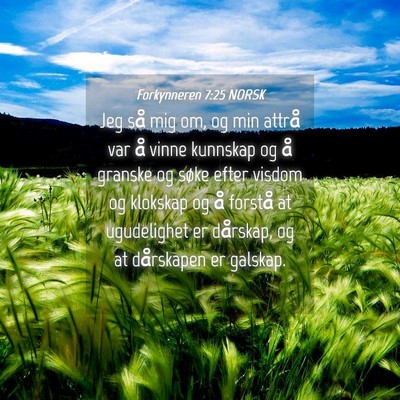 Picture 04 - Forkynneren 7:25 NORSK - Jeg så mig om, og min attrå var å vinne - Bible Verse Picture