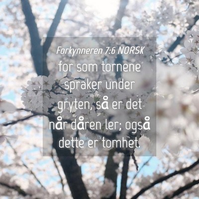 Picture 04 - Forkynneren 7:6 NORSK - for som tornene spraker under gryten, så er det - Bible Verse Picture