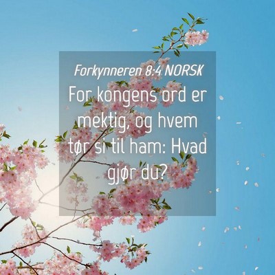 Picture 04 - Forkynneren 8:4 NORSK - For kongens ord er mektig, og hvem tør si til - Bible Verse Picture