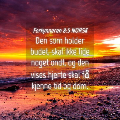 Picture 04 - Forkynneren 8:5 NORSK - Den som holder budet, skal ikke lide noget ondt, - Bible Verse Picture