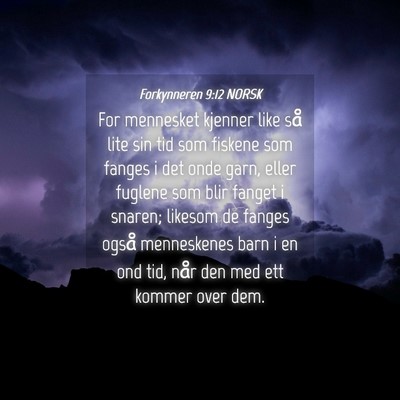 Picture 04 - Forkynneren 9:12 NORSK - For mennesket kjenner like så lite sin tid som - Bible Verse Picture
