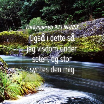 Picture 04 - Forkynneren 9:13 NORSK - Også i dette så jeg visdom under solen, og stor - Bible Verse Picture