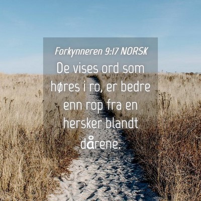 Picture 04 - Forkynneren 9:17 NORSK - De vises ord som høres i ro, er bedre enn rop - Bible Verse Picture