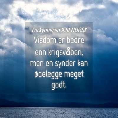 Picture 04 - Forkynneren 9:18 NORSK - Visdom er bedre enn krigsvåben, men en synder - Bible Verse Picture
