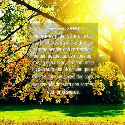 Picture 04 - Forkynneren 9:2 NORSK - Det går dem {de rettferdige og vise.} i alt - Bible Verse Picture