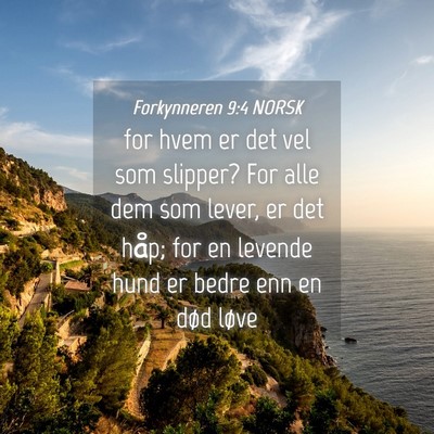 Picture 04 - Forkynneren 9:4 NORSK - for hvem er det vel som slipper? For alle dem som - Bible Verse Picture