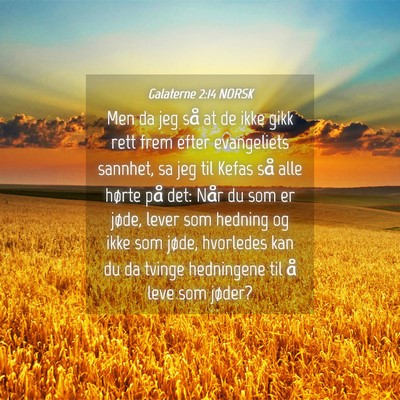 Picture 04 - Galaterne 2:14 NORSK - Men da jeg så at de ikke gikk rett frem efter - Bible Verse Picture