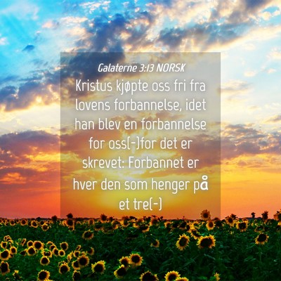 Picture 04 - Galaterne 3:13 NORSK - Kristus kjøpte oss fri fra lovens forbannelse, - Bible Verse Picture