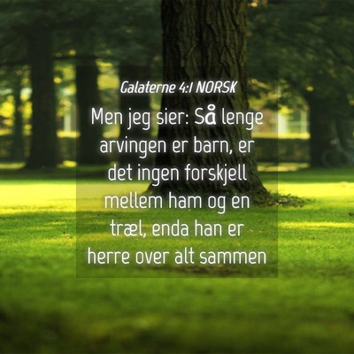 Picture 04 - Galaterne 4:1 NORSK - Men jeg sier: Så lenge arvingen er barn, er det - Bible Verse Picture
