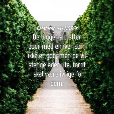 Picture 04 - Galaterne 4:17 NORSK - De legger sig efter eder med en iver som ikke er - Bible Verse Picture