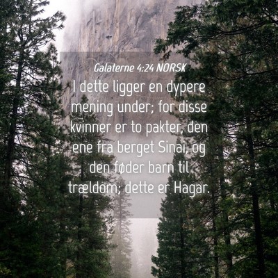 Picture 04 - Galaterne 4:24 NORSK - I dette ligger en dypere mening under; for disse - Bible Verse Picture