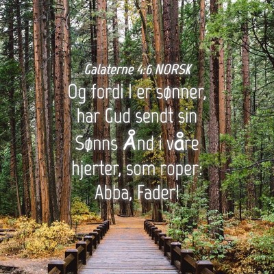 Picture 04 - Galaterne 4:6 NORSK - Og fordi I er sønner, har Gud sendt sin Sønns - Bible Verse Picture