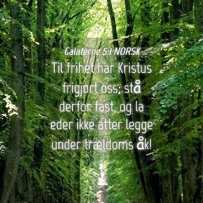 Picture 04 - Galaterne 5:1 NORSK - Til frihet har Kristus frigjort oss; stå derfor - Bible Verse Picture