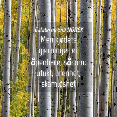 Picture 04 - Galaterne 5:19 NORSK - Men kjødets gjerninger er åpenbare, såsom: - Bible Verse Picture