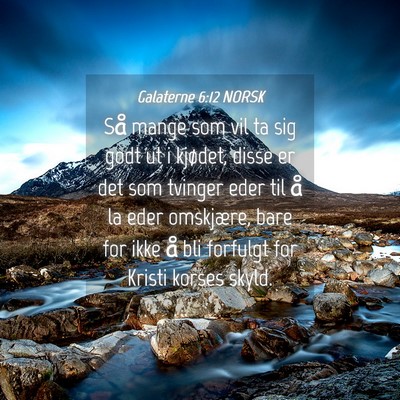 Picture 04 - Galaterne 6:12 NORSK - Så mange som vil ta sig godt ut i kjødet, disse - Bible Verse Picture
