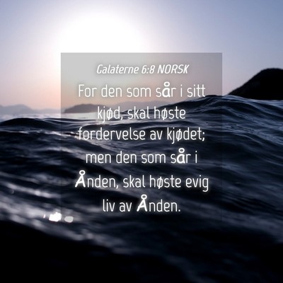 Picture 04 - Galaterne 6:8 NORSK - For den som sår i sitt kjød, skal høste - Bible Verse Picture