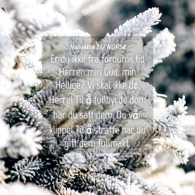 Picture 04 - Habakkuk 1:12 NORSK - Er du ikke fra fordums tid Herren min Gud, min - Bible Verse Picture