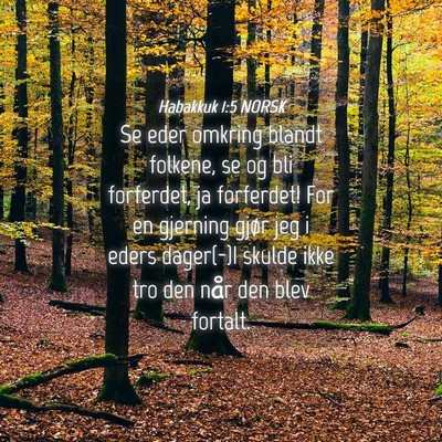 Picture 04 - Habakkuk 1:5 NORSK - Se eder omkring blandt folkene, se og bli - Bible Verse Picture