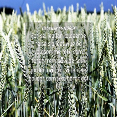 Picture 04 - Habakkuk 1:6 NORSK - For se, jeg lar kaldeerne reise sig, det ville og - Bible Verse Picture