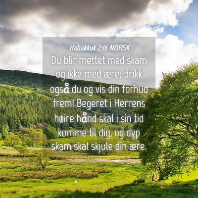Picture 04 - Habakkuk 2:16 NORSK - Du blir mettet med skam og ikke med ære; drikk - Bible Verse Picture