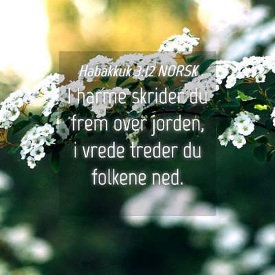 Picture 04 - Habakkuk 3:12 NORSK - I harme skrider du frem over jorden, i vrede - Bible Verse Picture
