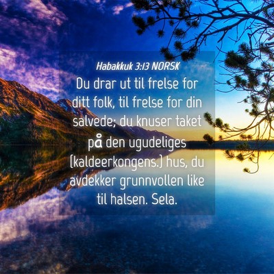 Picture 04 - Habakkuk 3:13 NORSK - Du drar ut til frelse for ditt folk, til frelse - Bible Verse Picture