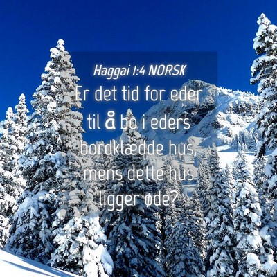 Picture 04 - Haggai 1:4 NORSK - Er det tid for eder til å bo i eders bordklædde - Bible Verse Picture