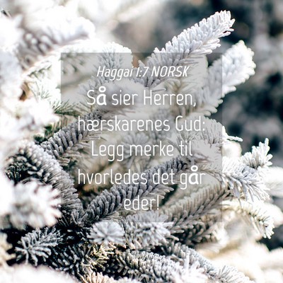 Picture 04 - Haggai 1:7 NORSK - Så sier Herren, hærskarenes Gud: Legg merke til - Bible Verse Picture