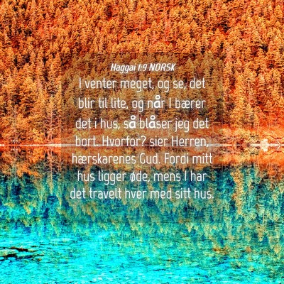 Picture 04 - Haggai 1:9 NORSK - I venter meget, og se, det blir til lite, og når - Bible Verse Picture