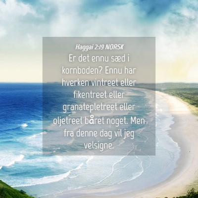 Picture 04 - Haggai 2:19 NORSK - Er det ennu sæd i kornboden? Ennu har hverken - Bible Verse Picture