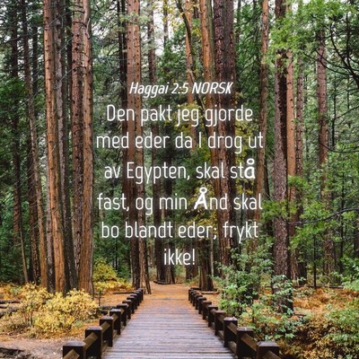 Picture 04 - Haggai 2:5 NORSK - Den pakt jeg gjorde med eder da I drog ut av - Bible Verse Picture