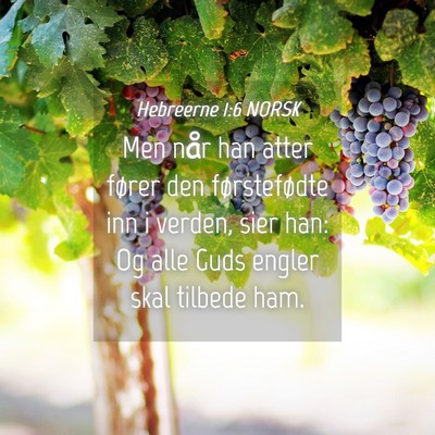 Picture 04 - Hebreerne 1:6 NORSK - Men når han atter fører den førstefødte inn i - Bible Verse Picture