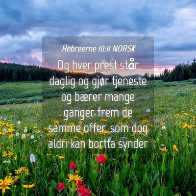 Picture 04 - Hebreerne 10:11 NORSK - Og hver prest står daglig og gjør tjeneste og - Bible Verse Picture