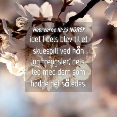 Picture 04 - Hebreerne 10:33 NORSK - idet I dels blev til et skuespill ved hån og - Bible Verse Picture
