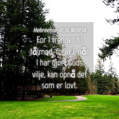 Picture 04 - Hebreerne 10:36 NORSK - For I trenger til tålmod, forat I, når I har - Bible Verse Picture