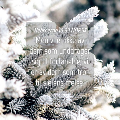 Picture 04 - Hebreerne 10:39 NORSK - Men vi er ikke av dem som unddrager sig til - Bible Verse Picture